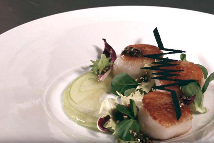 Electric Scalop Electric Scalop