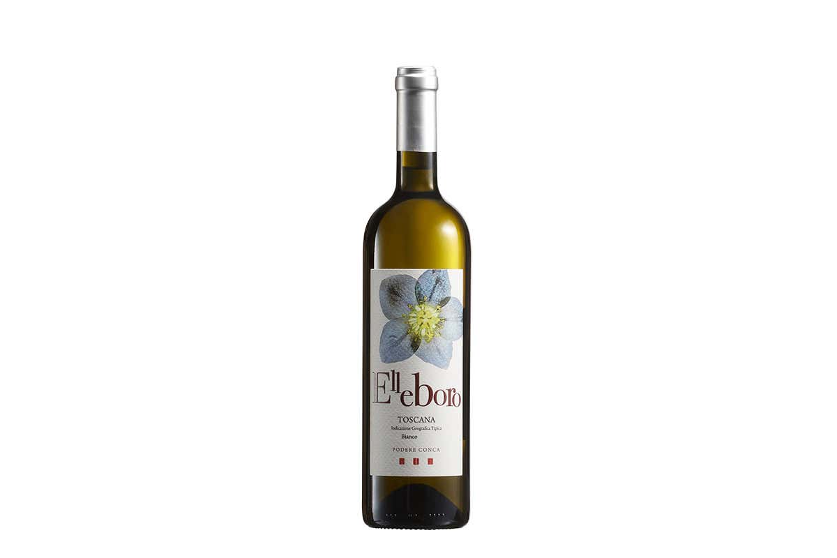 Elleboro, blend di Chardonnay, Sauvignon Blanc e Viognier Podere Conca festeggia il primo lustro con Apistos Igt Costa Toscana