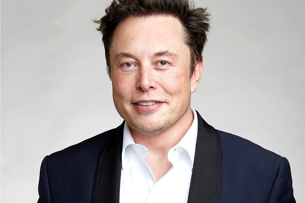 Ecco come sarà lo chalet futuristico di Elon Musk in Alta Badia