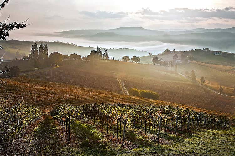Emilia Romagna Enologica enoturismo