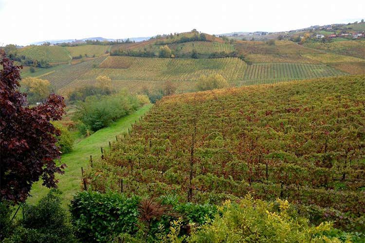 Emilia Romagna Enologica enoturismo