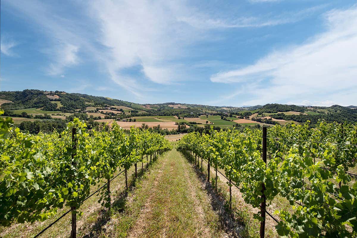 Credito foto: Marco Parisi Ca&rsquo; Besina, il primo Metodo Classico dell&rsquo;Emilia Romagna si rif&agrave; il look