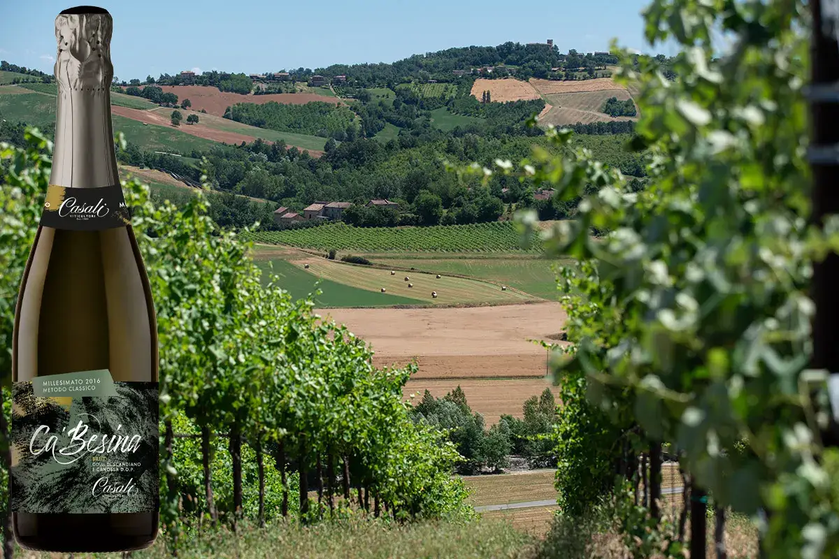 Credito foto: Marco Parisi Ca&rsquo; Besina, il primo Metodo Classico dell&rsquo;Emilia Romagna si rif&agrave; il look