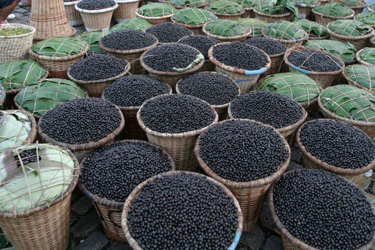 Energia e vitalit&agrave; con il sorbetto a base di A&ccedil;ai, la bacca dell'Amazzonia