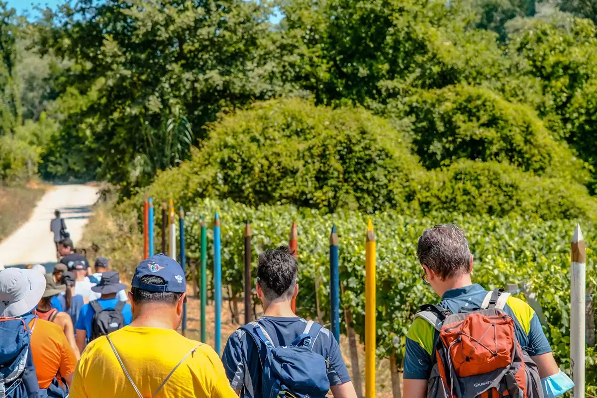 Gli enoturisti si sono moltiplicati e sono sempre pi&ugrave; competenti Movimento Turismo del Vino in gran forma
