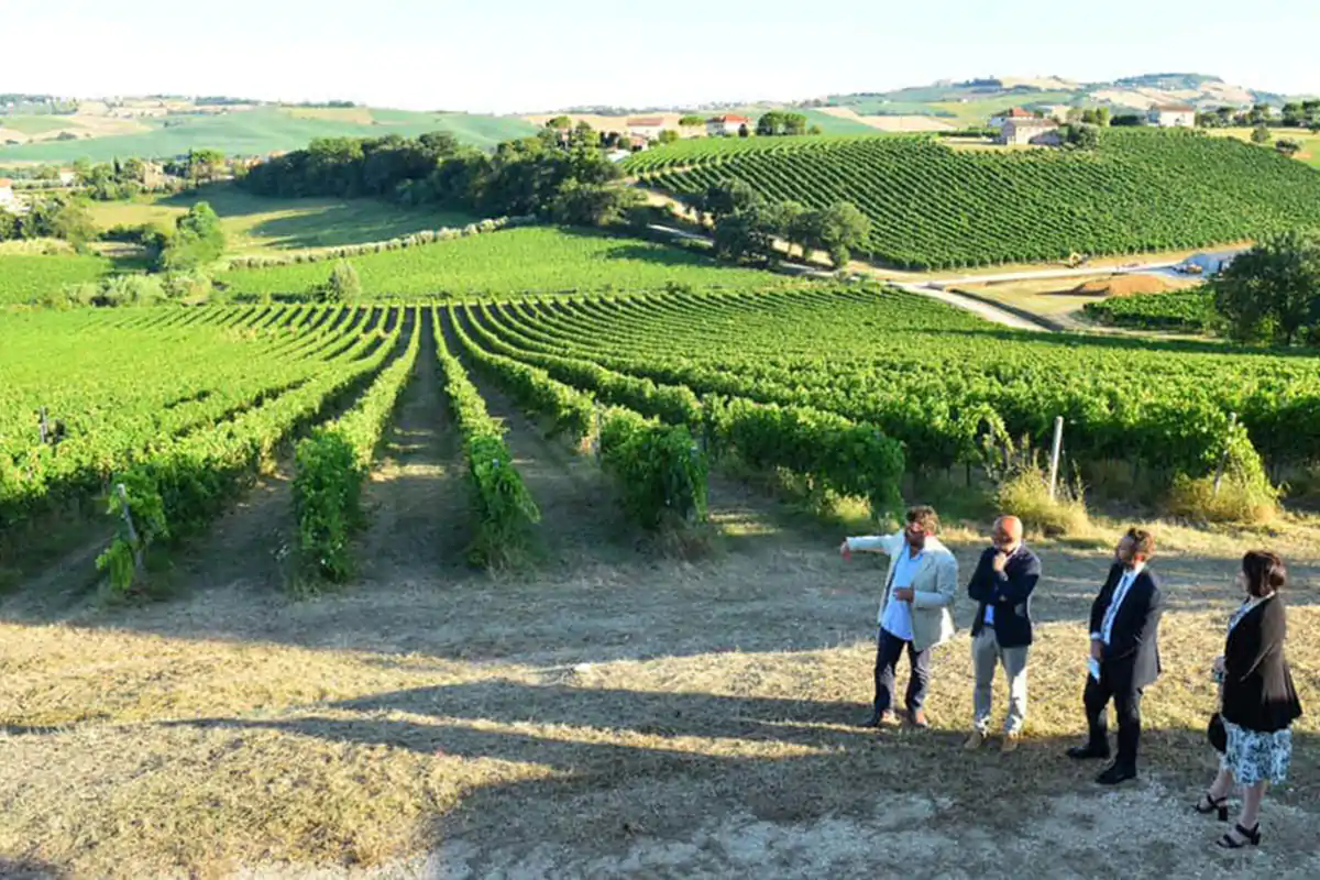 Previsti percorsi esperienziali in vigna Enosophia fa il punto sul vino post Covid