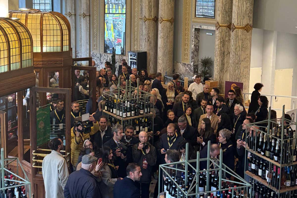 L’enoteca Divinorum con oltre 400 etichette da Piemonte e Valle d’Aosta Apertura