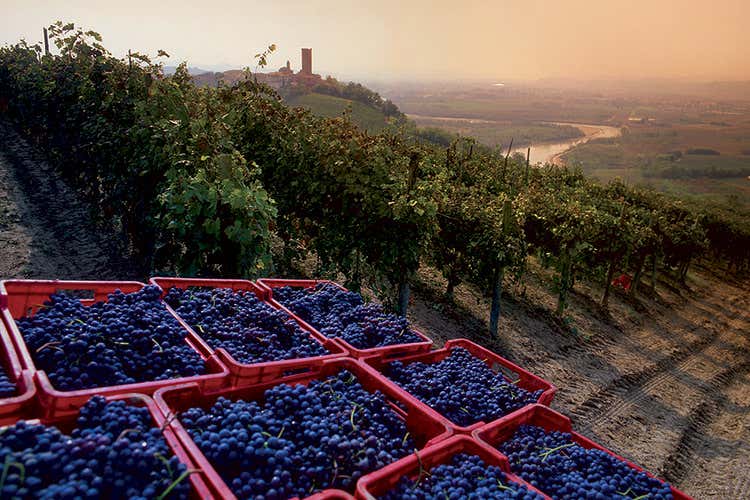 (Enoturismo in costante crescita Italia e Francia, potenzialit&agrave; a confronto)