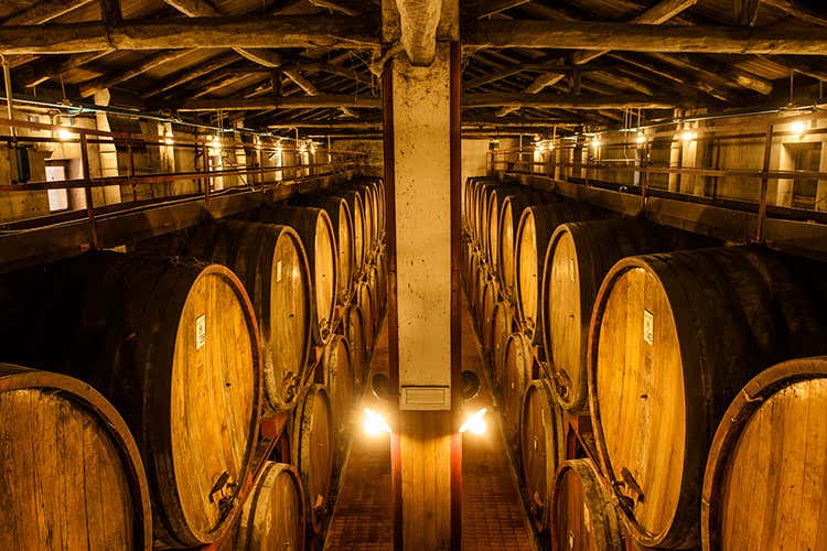 (Enoturismo in costante crescita Italia e Francia, potenzialit&agrave; a confronto)