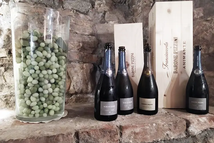 L&rsquo;antico vitigno &egrave; stato inserito in Animante In Franciacorta rivive Erbamat Il progetto di Barone Pizzini