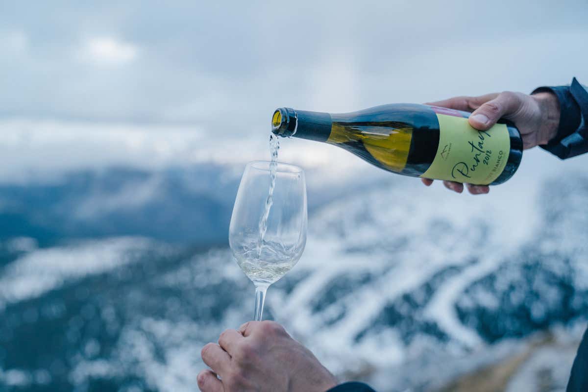 La prima prima completamente biologica per la linea Puntay Erste Neue, vendemmia di qualità e completamente bio per la linea Puntay