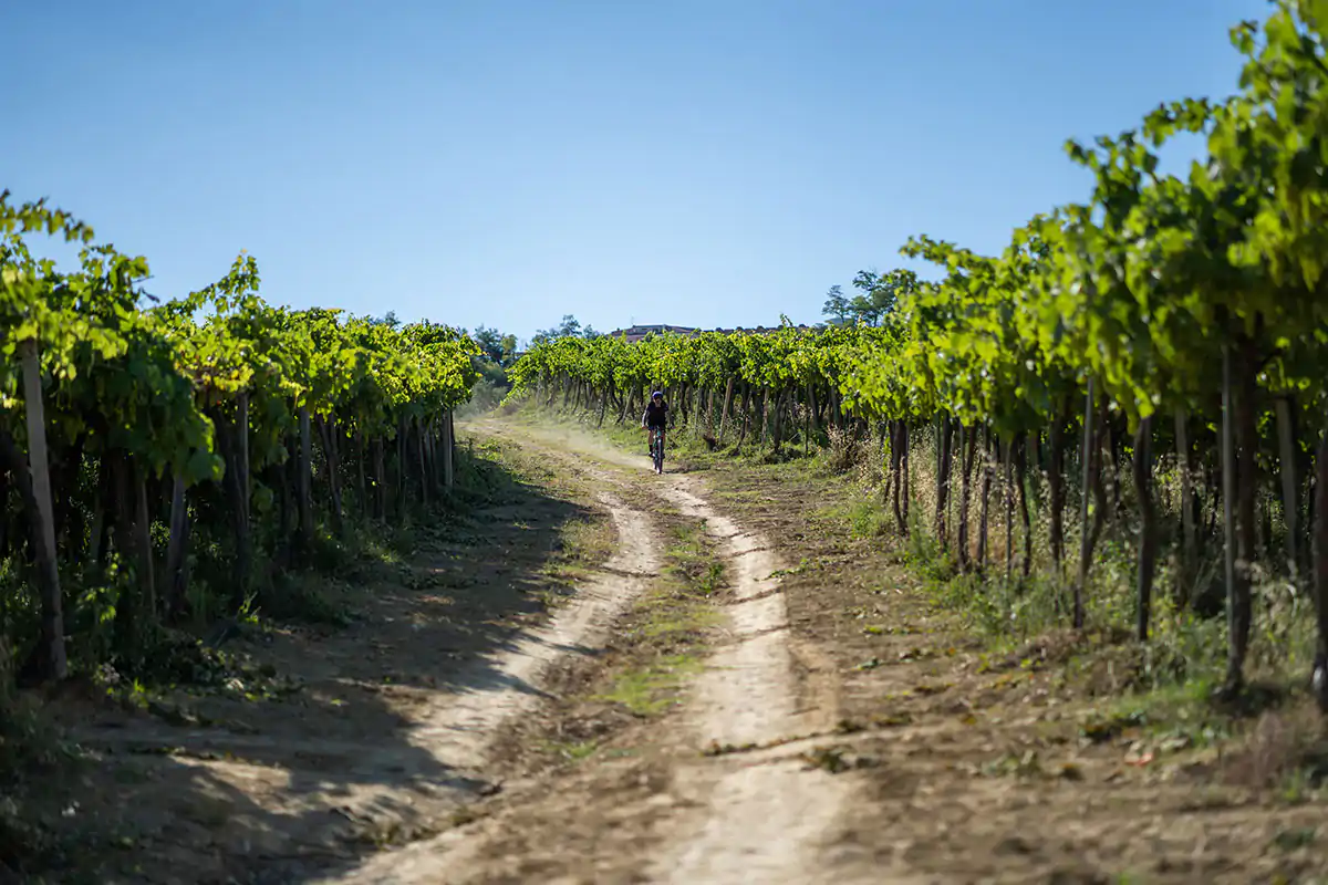 Esperienze enoturistiche d&rsquo;autore con il Consorzio Vini d&rsquo;Abruzzo