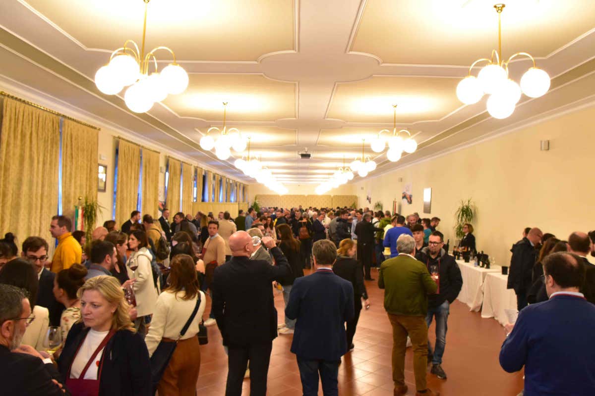 Premiati a Pesaro i migliori vini delle Marche della Guida Vitae Ais