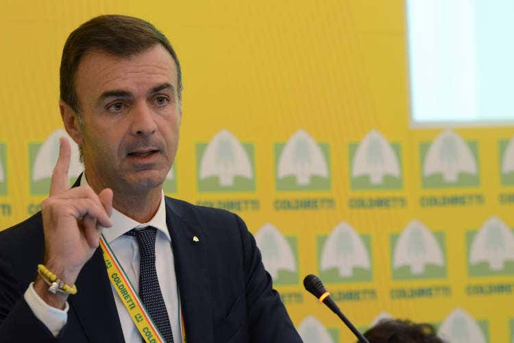 Ettore Prandini - Lavoro nei campi, 400 curriculum in poche ore. Prandini: Ora voucher