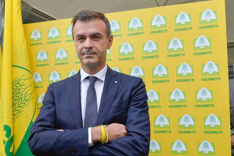 Ettore Prandini - Limoni, boom di vendite ( 50%)E i prezzi schizzano alle stelle