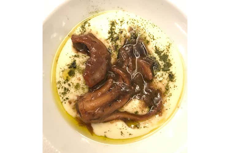Cremoso di patate, polvere di alghe, limone candito e polipetti affogati (Euro-Toques, soci a quota 300 In squadra anche Pepe e Bartolini)