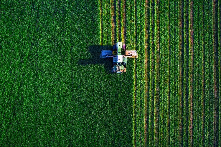 (Europa, produzione contadina in calo L'Italia resta 2ª ma perde il 4,4%) (Europa, produzione contadina in calo L'Italia resta 2ª ma perde il 4,4%)