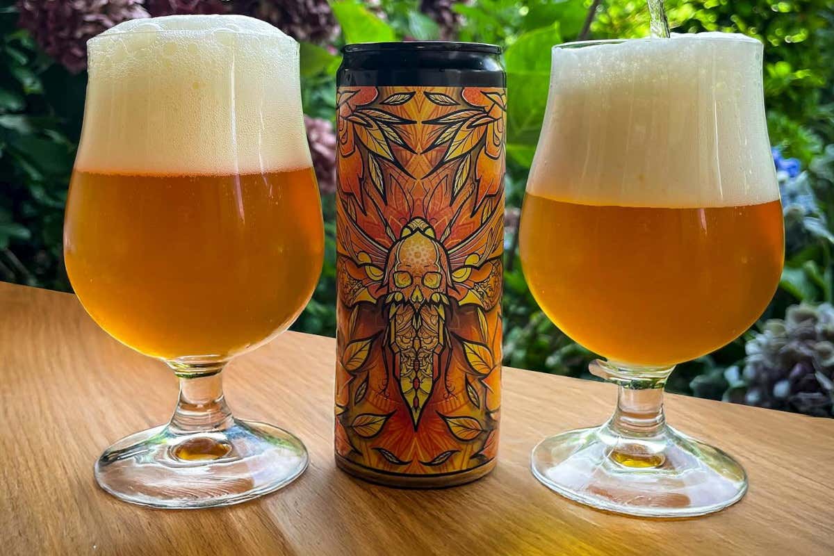 Antikorpo Brewing, Ipa visionarie e gluten free che non rinunciano al carattere Antikorpo Brewing, Ipa visionarie e gluten free che non rinunciano al carattere