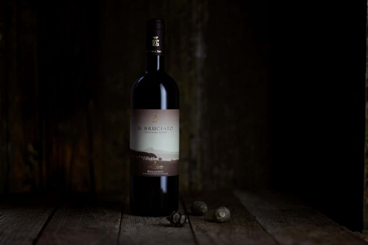 Maserati, arriva la Grecale in edizione limitata dedicata al vino “Il Bruciato” Maserati, arriva la Grecale in edizione limitata dedicata al vino “Il Bruciato”