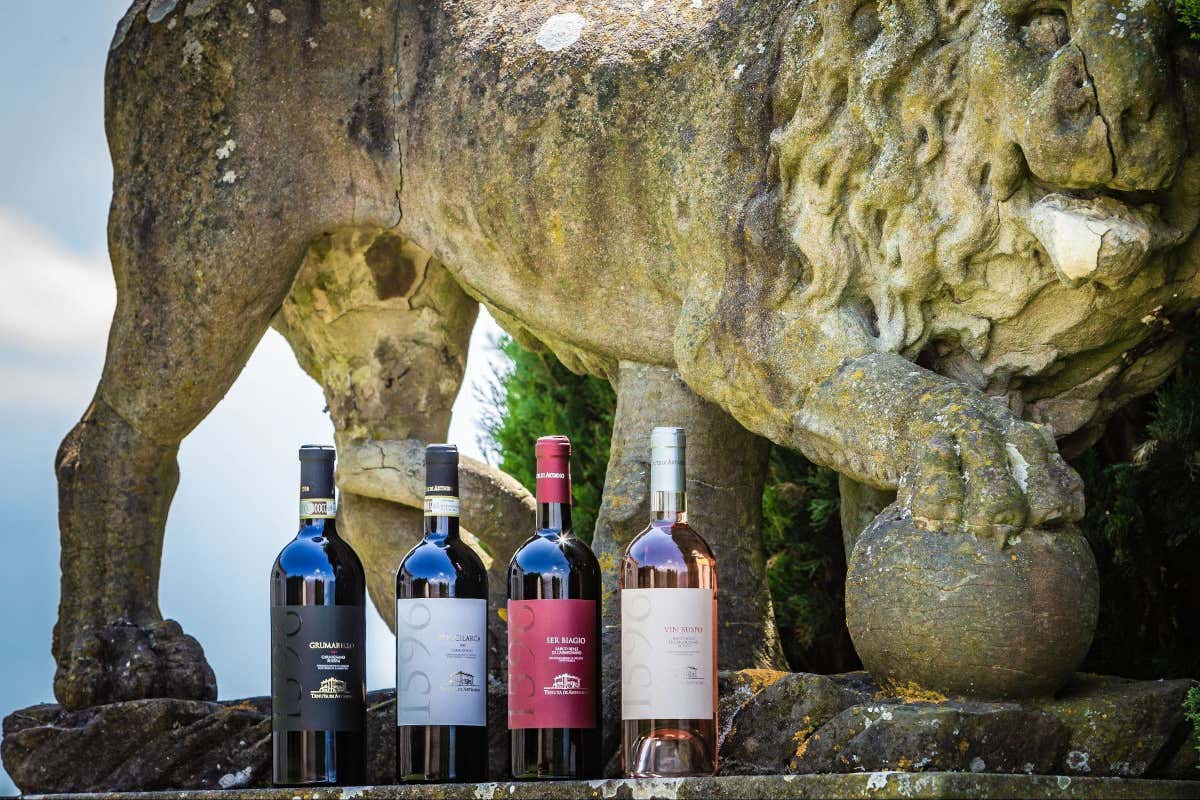 La valorizzazione della Tenuta di Artimino: zonazione, viticoltura e sostenibilità