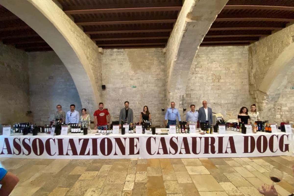 Montepulciano d’Abruzzo, la sottozona Casauria verso la Docg: cosa cambia