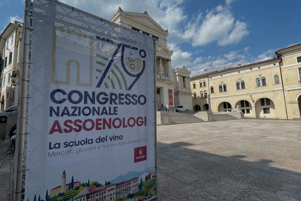 Assoenologi, Cotarella: «Il vino italiano deve aprire una nuova fase di crescita» Assoenologi, Cotarella: «Il vino italiano deve aprire una nuova fase di crescita»