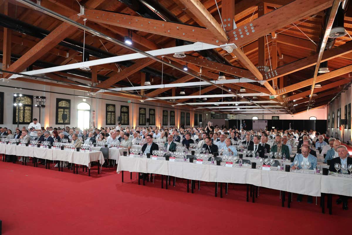 Assoenologi, Cotarella: «Il vino italiano deve aprire una nuova fase di crescita» Assoenologi, Cotarella: «Il vino italiano deve aprire una nuova fase di crescita»