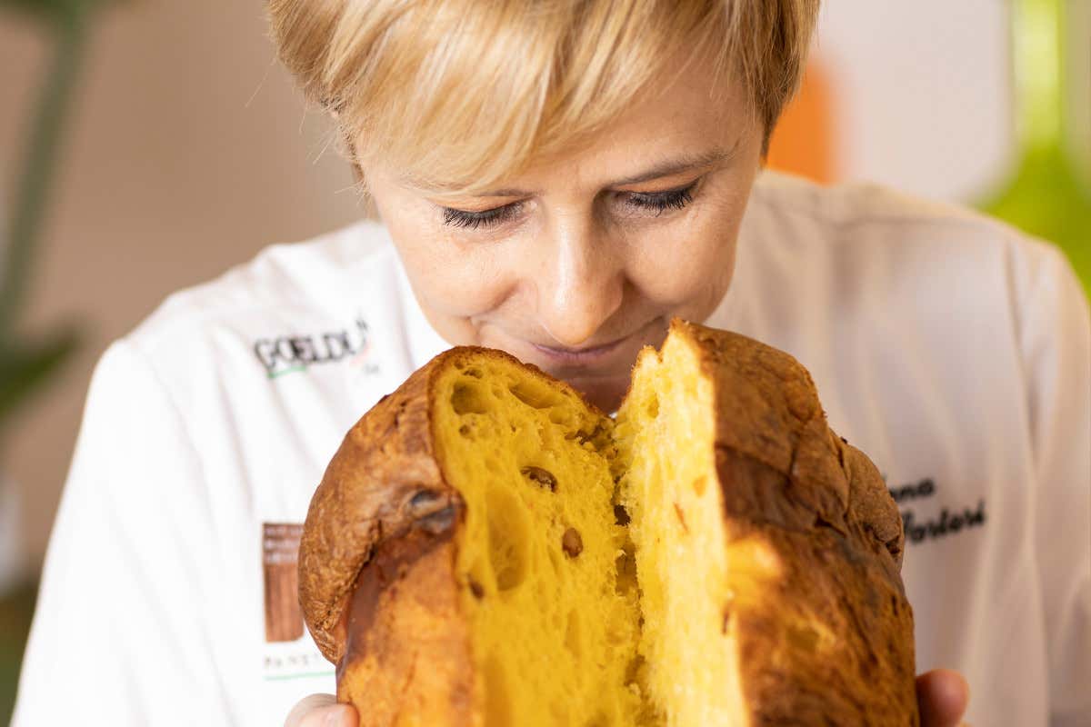 Panettone 2024: i pasticceri svelano tendenze e segreti, a partire dalla farina
