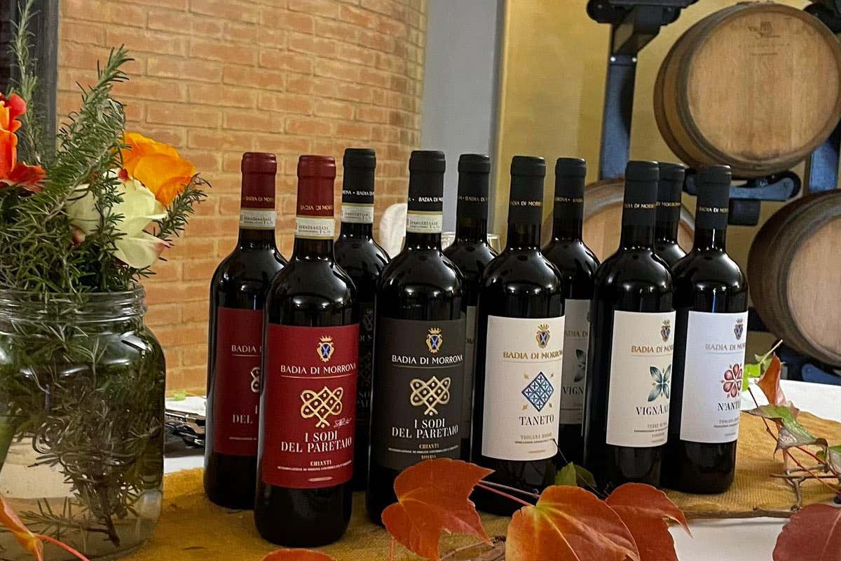 Badia di Morrona: alcuni vini Badia di Morrona dove il vino incontra la storia millenaria di un’abbazia toscana Badia di Morrona: alcuni vini Badia di Morrona dove il vino incontra la storia millenaria di un’abbazia toscana