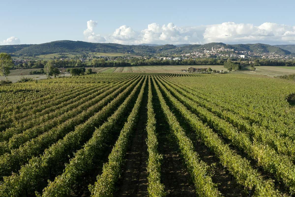Umbria in rosa: la 9ª tappa del Giro d'Italia tra Gubbio e Siena