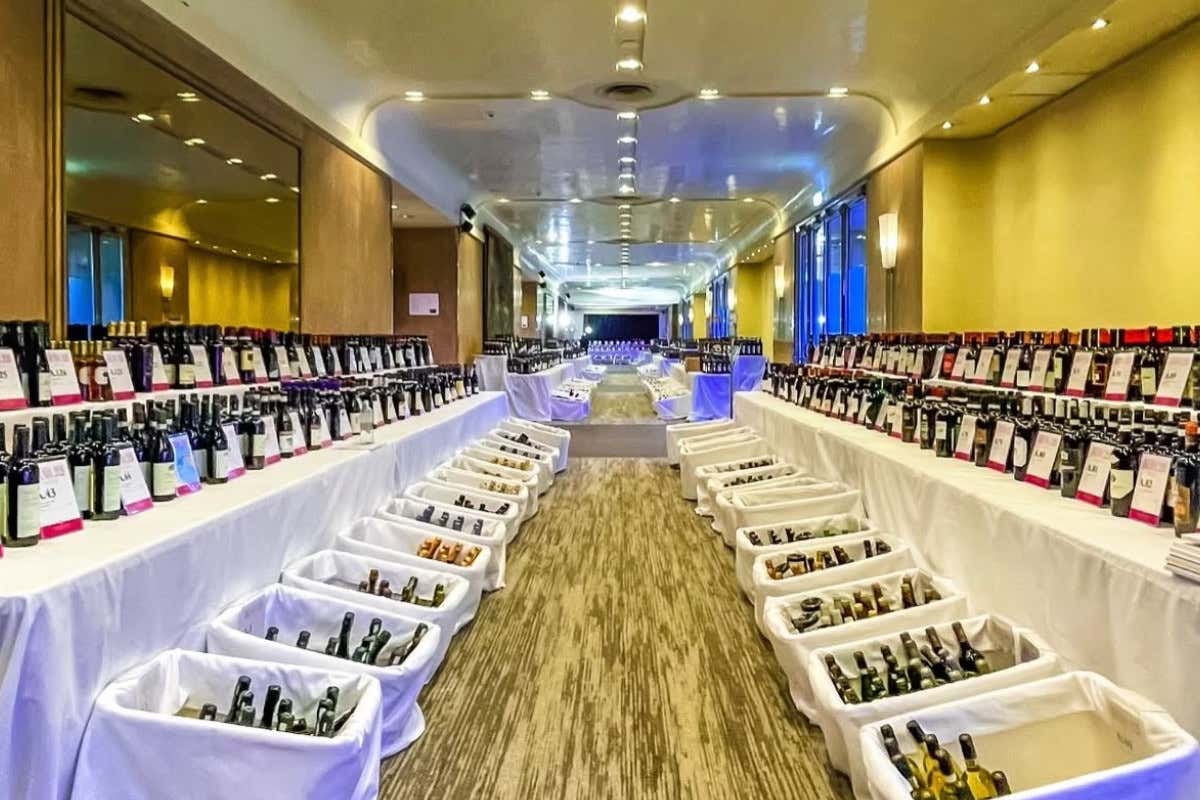 Dal Taurasi al Lambrusco: i 10 migliori vini italiani per la guida Bibenda