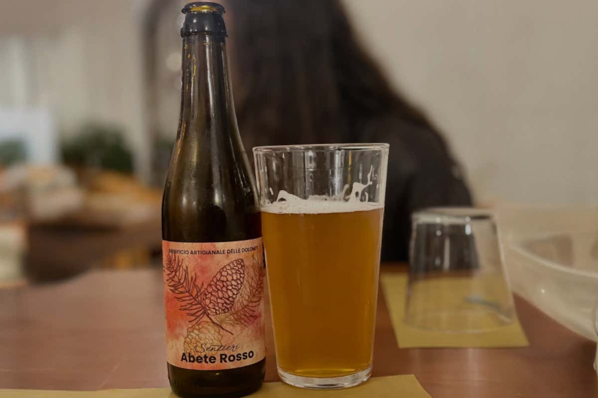 Birrificio Bionoc: l’abete rosso delle Dolomiti entra nella birra artigianale trentina Birrificio Bionoc: l’abete rosso delle Dolomiti entra nella birra artigianale trentina