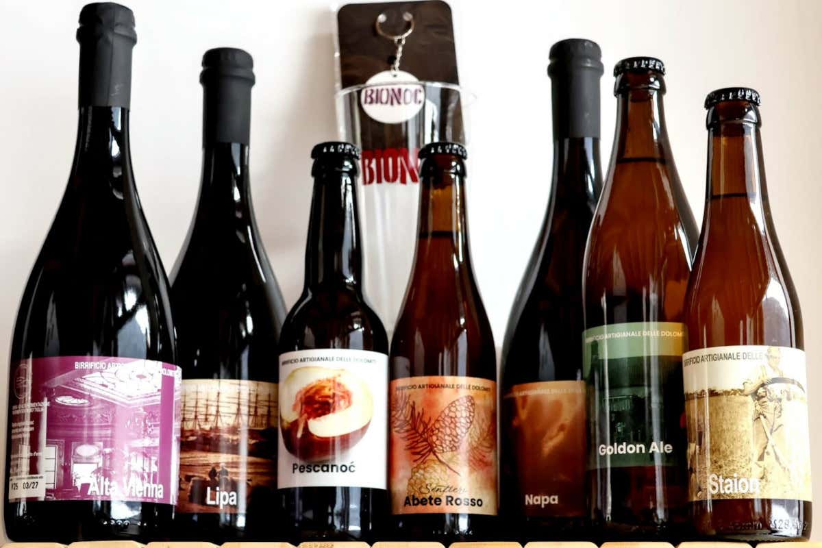 Birrificio Bionoc: l’abete rosso delle Dolomiti entra nella birra artigianale trentina