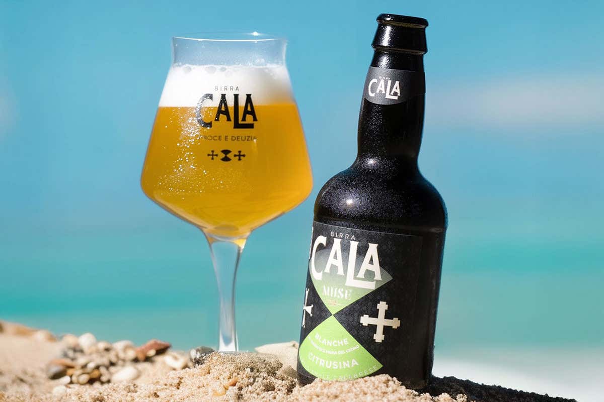 Scalea, il birrificio immerso nel Pollino che usa cedro e bergamotto nelle sue ricette