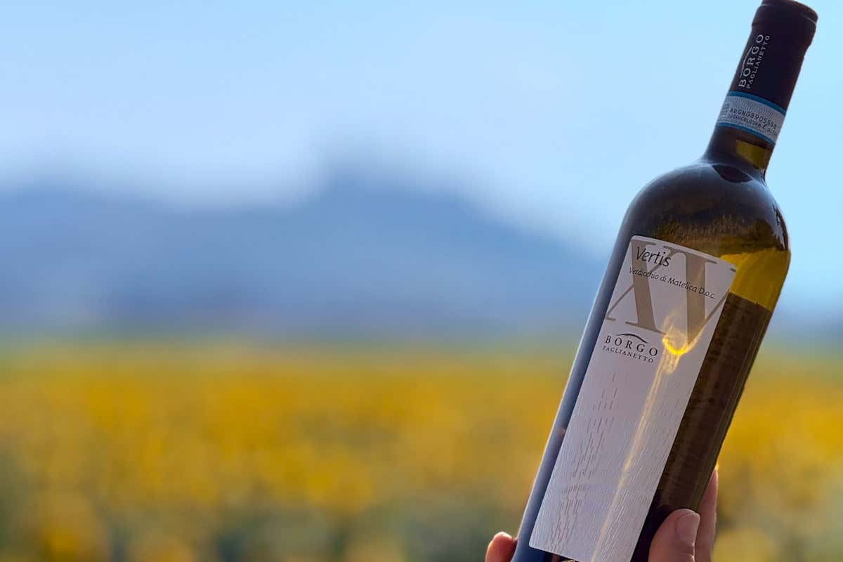 Borgo Paglianetto: 15 anni di storia e territorio nel Verdicchio di Matelica Borgo Paglianetto: 15 anni di storia e territorio nel Verdicchio di Matelica