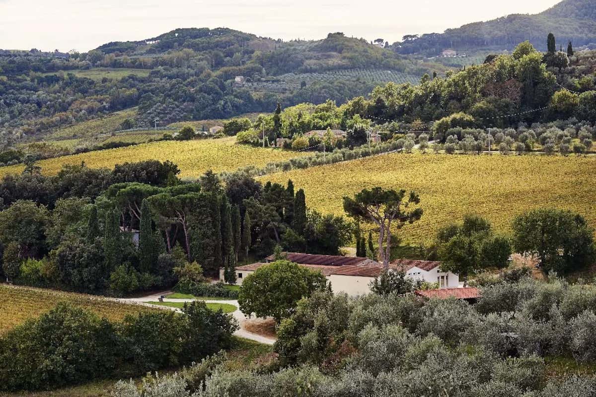 Osteria e vini storici: l’esperienza gourmet delle Cantine Dei a Montepulciano