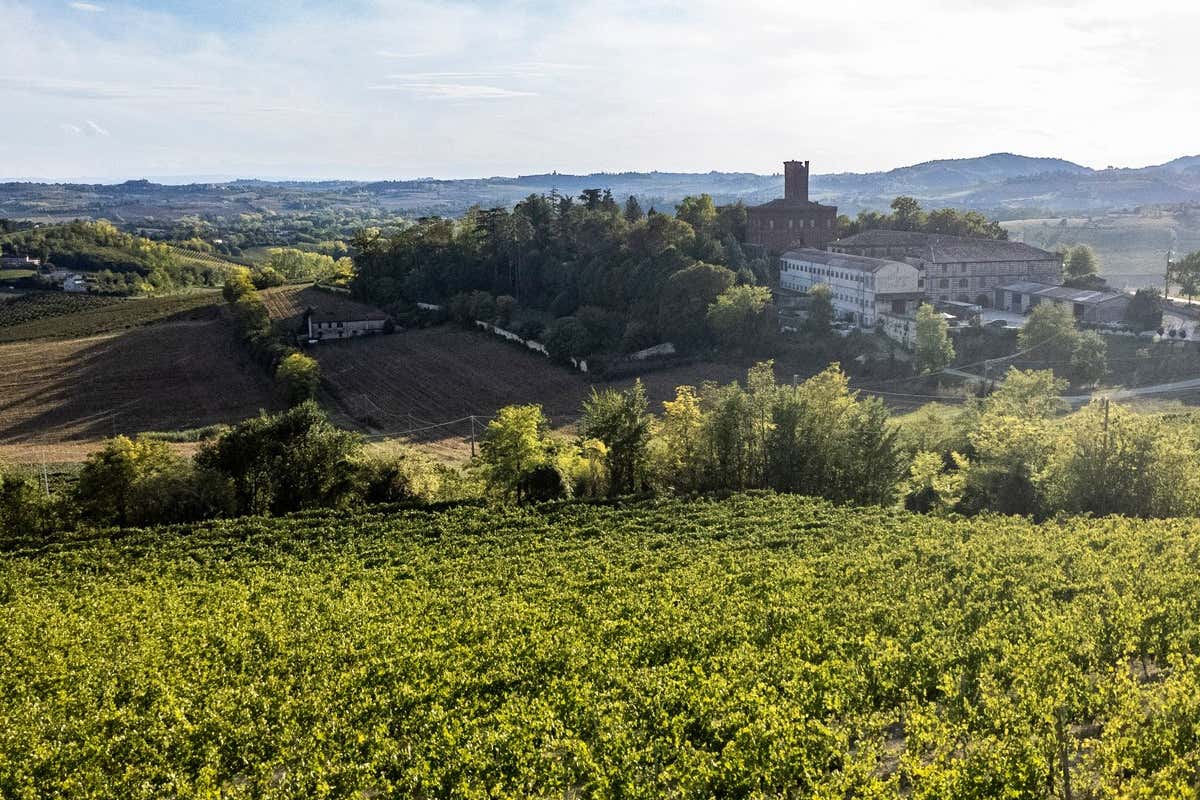 Castello di Uviglie: una storia tra vino, territorio e famiglia nel Monferrato