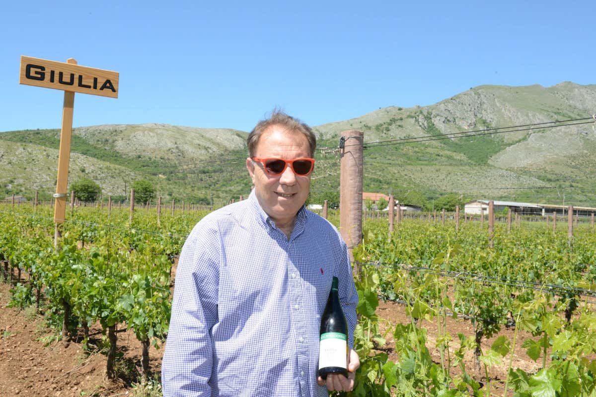 Addio a Luigi Cataldi Madonna, il pioniere che ha cambiato il volto del vino abruzzese Addio a Luigi Cataldi Madonna, il pioniere che ha cambiato il volto del vino abruzzese