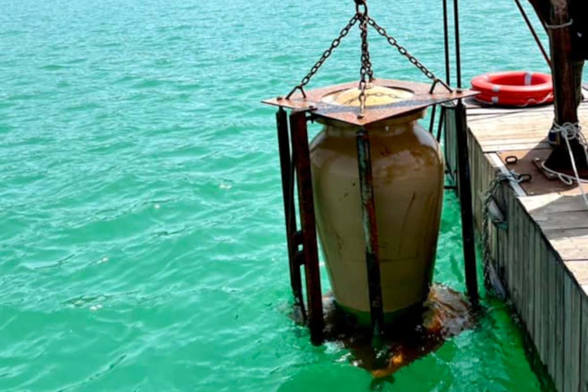In Piemonte c’è un vino che matura nel lago di Viverone: la “Piroga Benedettina”