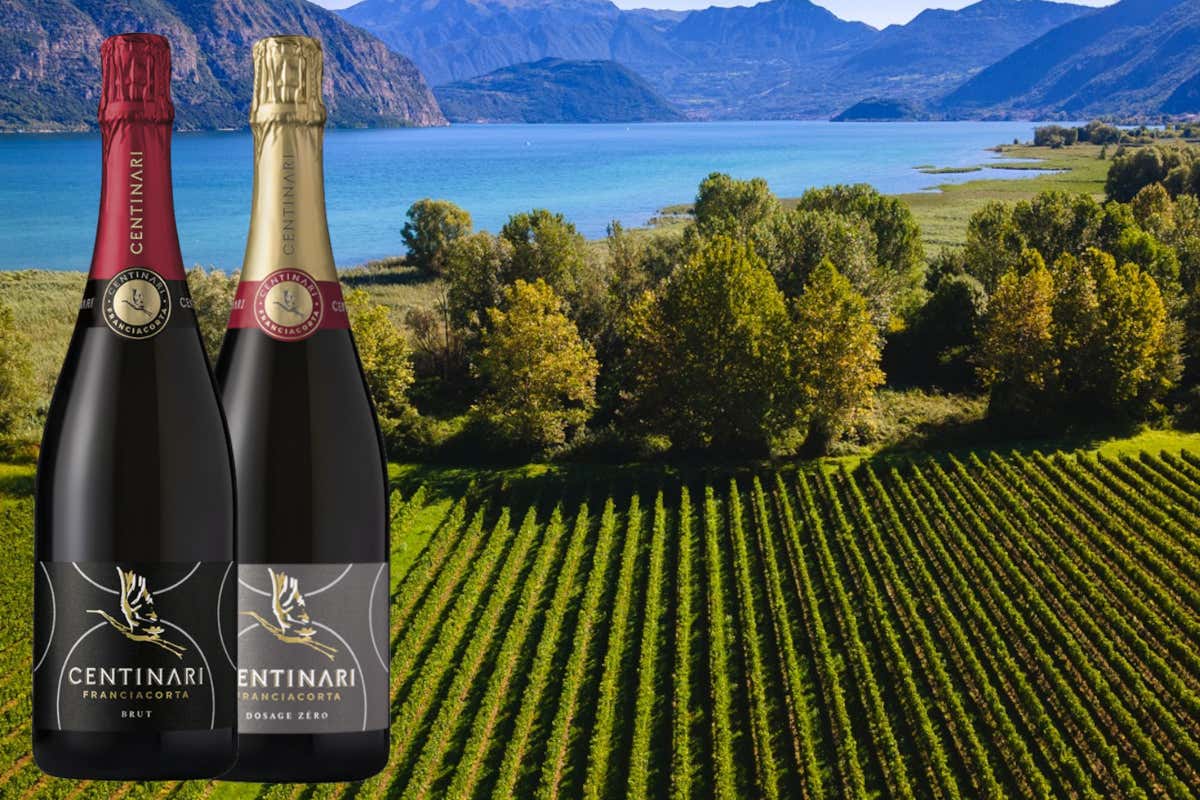 Vini effervescenti, Italia record con 97 medaglie al Concours Mondial de Bruxelles Vini effervescenti, Italia record con 97 medaglie al Concours Mondial de Bruxelles