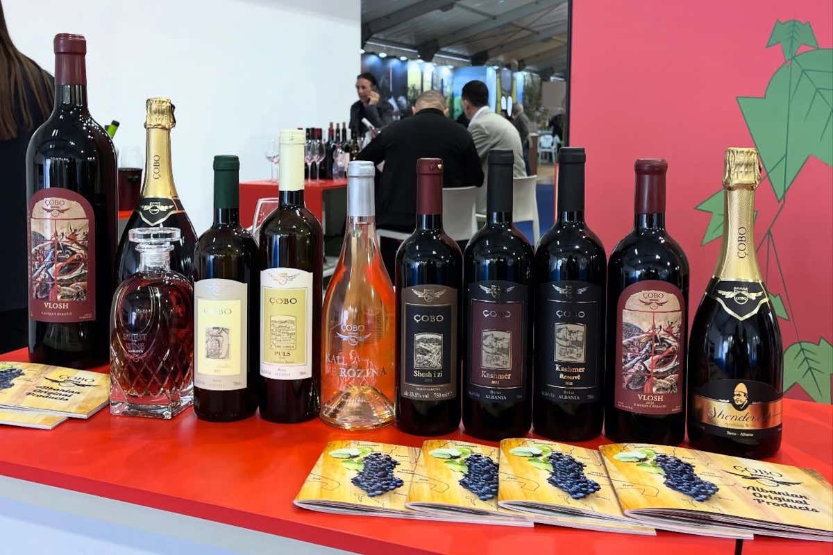 Albania, il vino riparte da vitigni rari e conquista nuovi mercati