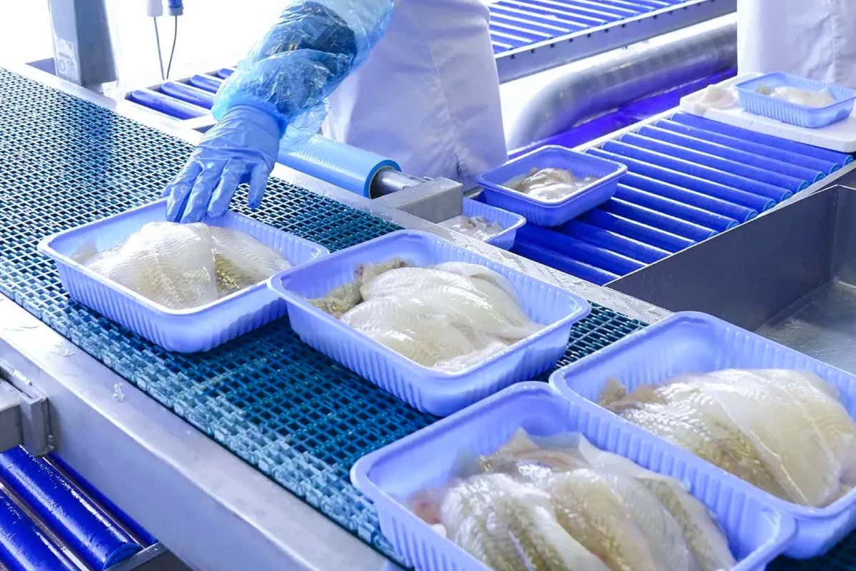 Dentro la “cattedrale del freddo”: cosa c’è dietro la crescita del frozen italiano Dentro la “cattedrale del freddo”: cosa c’è dietro la crescita del frozen italiano