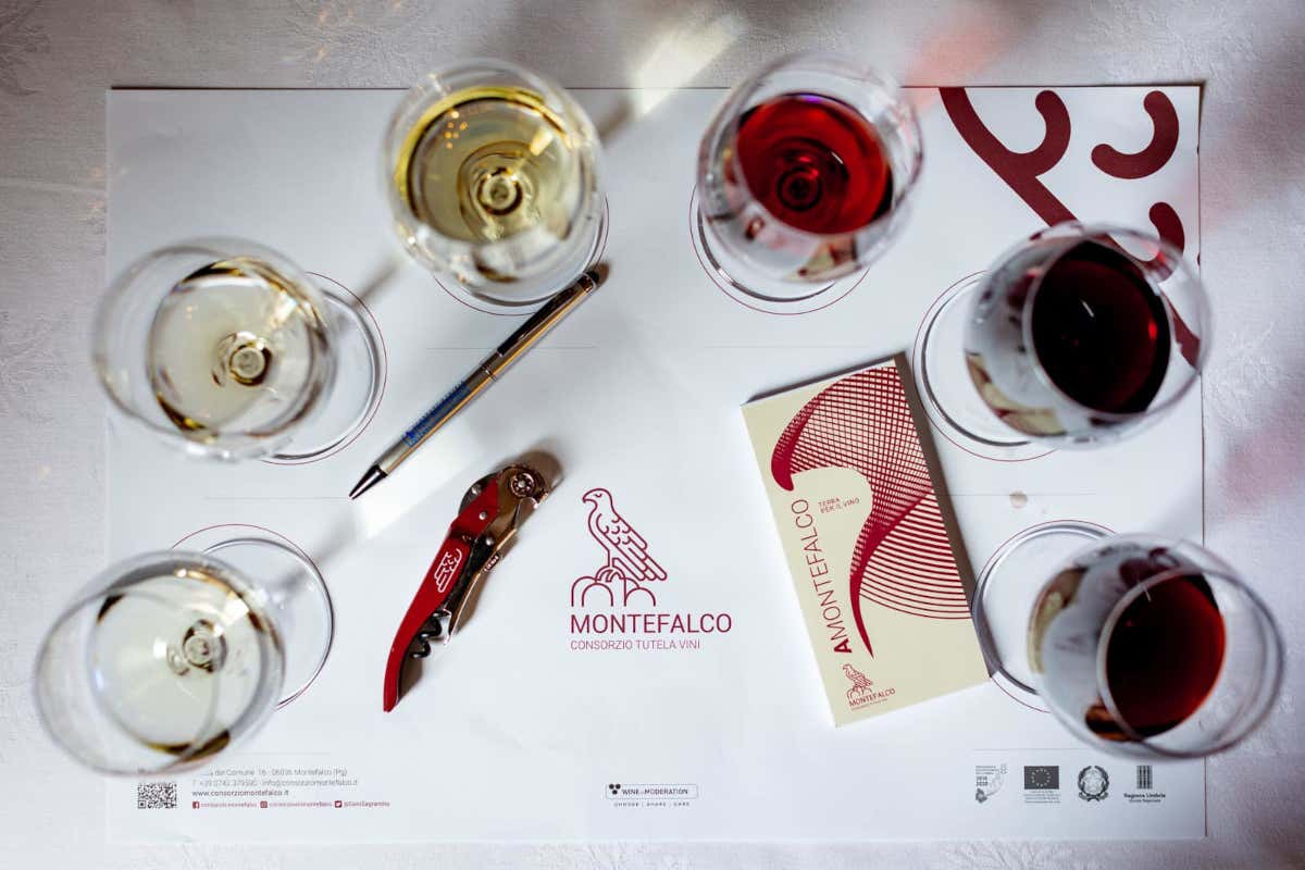 Montefalco, non solo Sagrantino: Spoleto Doc e Trebbiano Spoletino in ascesa Montefalco, non solo Sagrantino: Spoleto Doc e Trebbiano Spoletino in ascesa