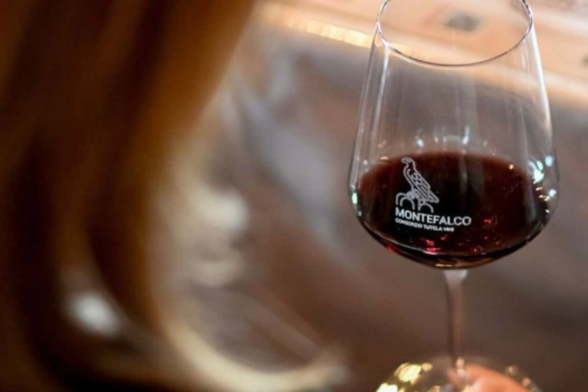 Montefalco, non solo Sagrantino: Spoleto Doc e Trebbiano Spoletino in ascesa Montefalco, non solo Sagrantino: Spoleto Doc e Trebbiano Spoletino in ascesa