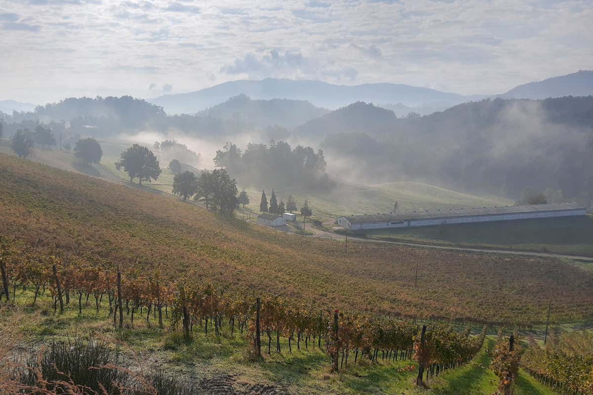 L'Oltrepò in mostra a Parigi aspettando la riforma del disciplinare L'Oltrepò in mostra a Parigi aspettando la riforma del disciplinare