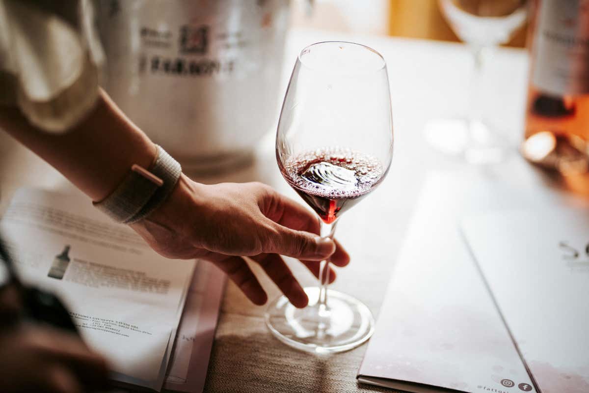 Montepulciano d’Abruzzo, la sottozona Casauria verso la Docg: cosa cambia