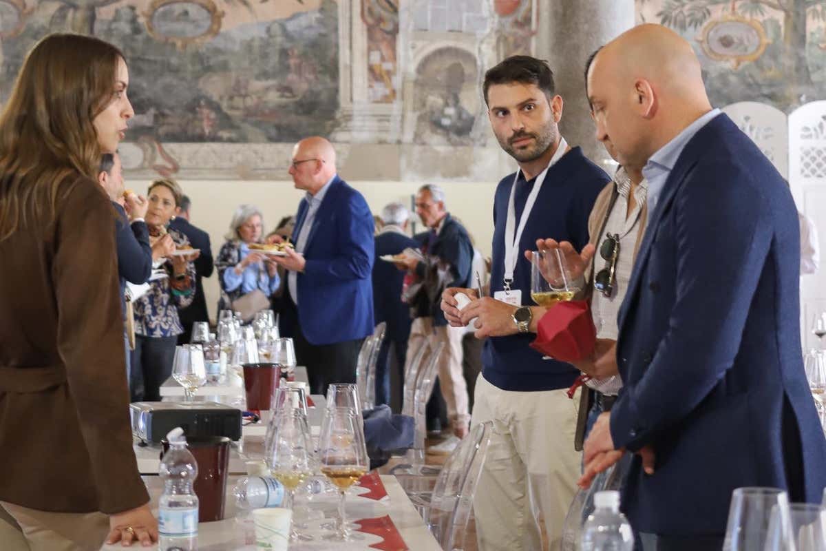 I vini del Vesuvio guardano all’Horeca e puntano su cinema, arte e storytelling