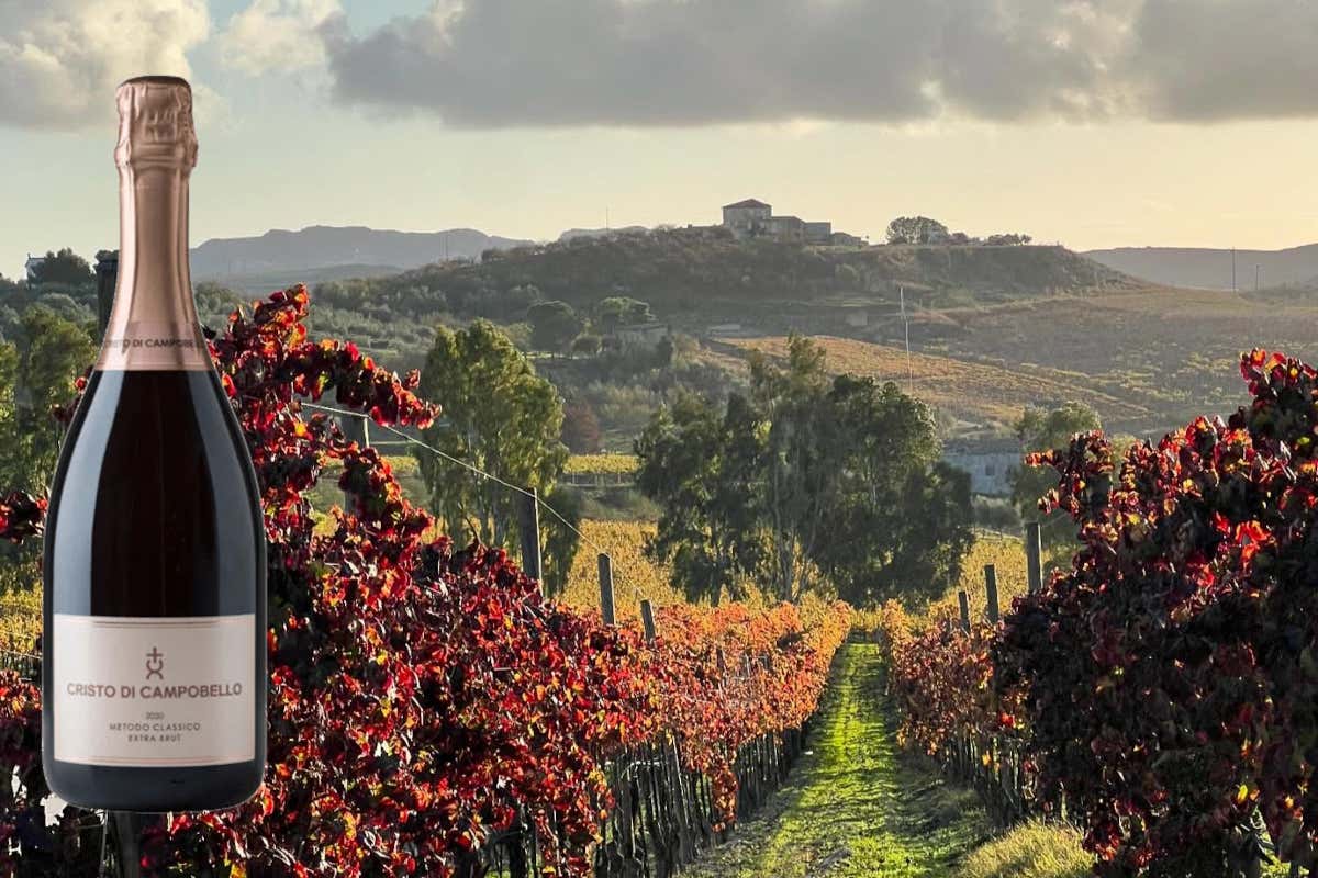 Metodo Classico: il made in Sicilia di Baglio del Cristo di Campobello