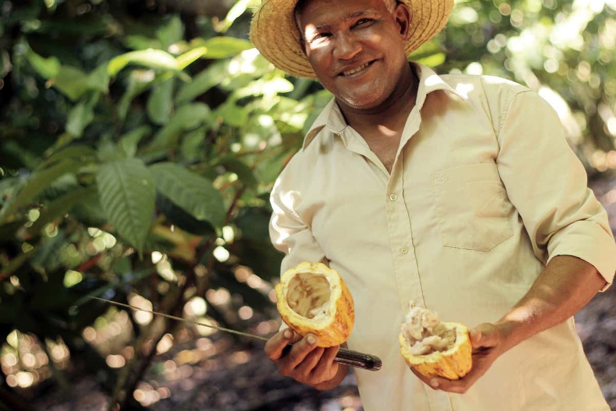 Davide Comaschi sCIOCka Host: il cioccolato diventa cultura in movimento Davide Comaschi sCIOCka Host: il cioccolato diventa cultura in movimento
