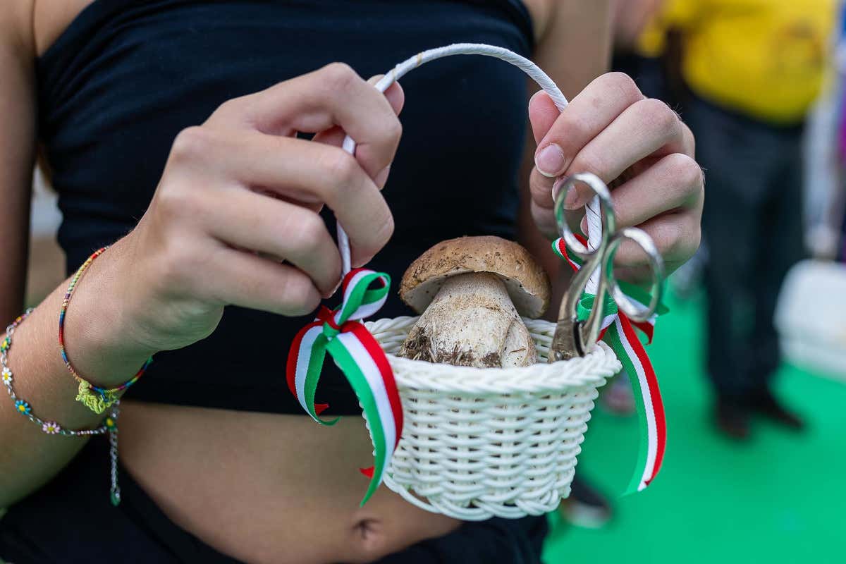 Festa o sagra? La differenza che cambia il significato del cibo tradizionale